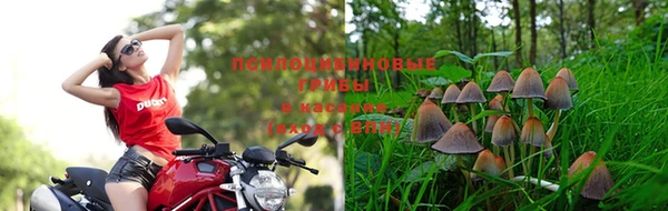 наркотики Алексеевка